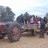 Hayride