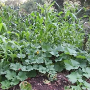 October 19, 2025: Stewardship Sunday – The Power of Generosity